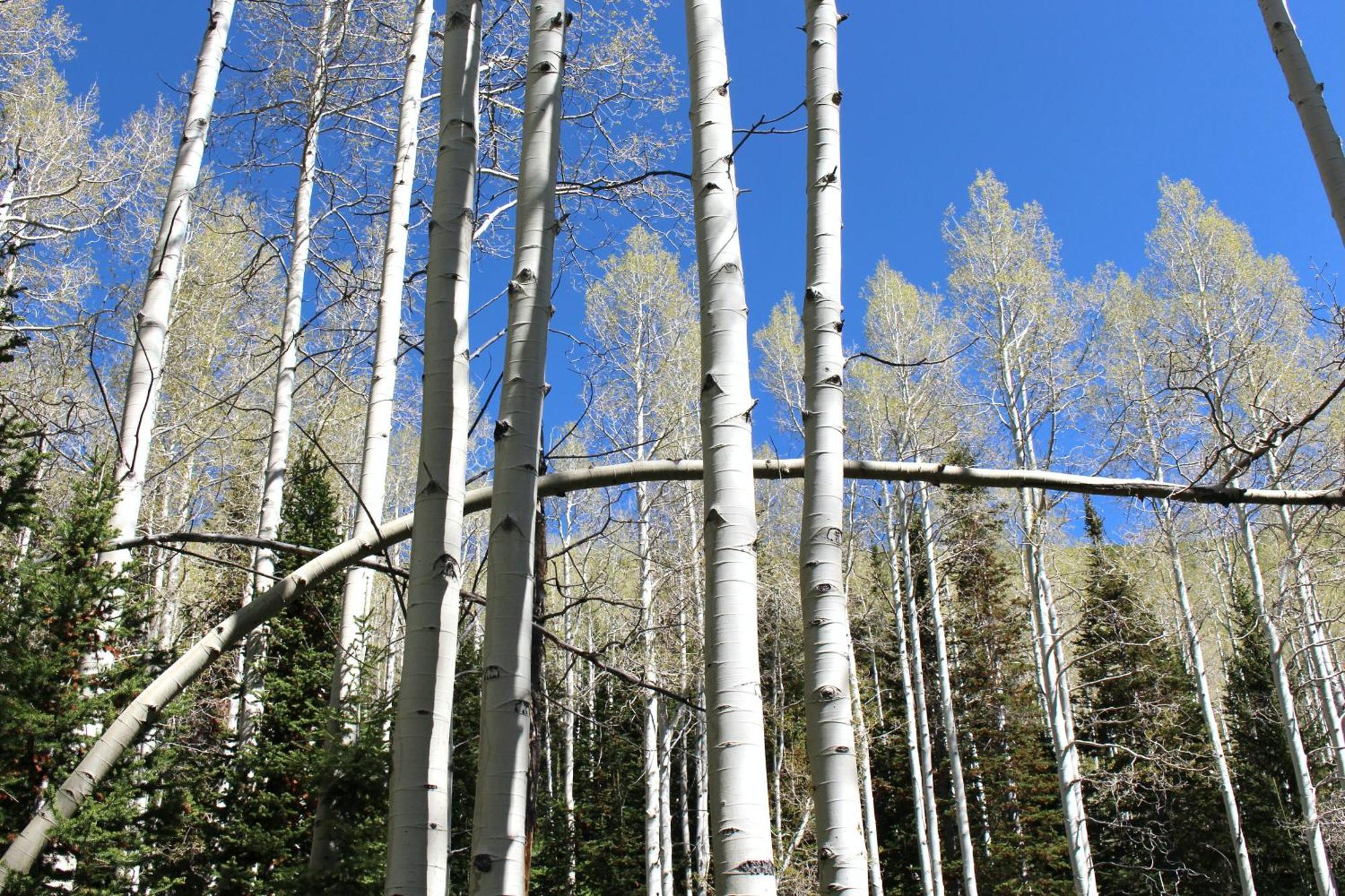 909 Park Ave Home Park City Kültér fotó