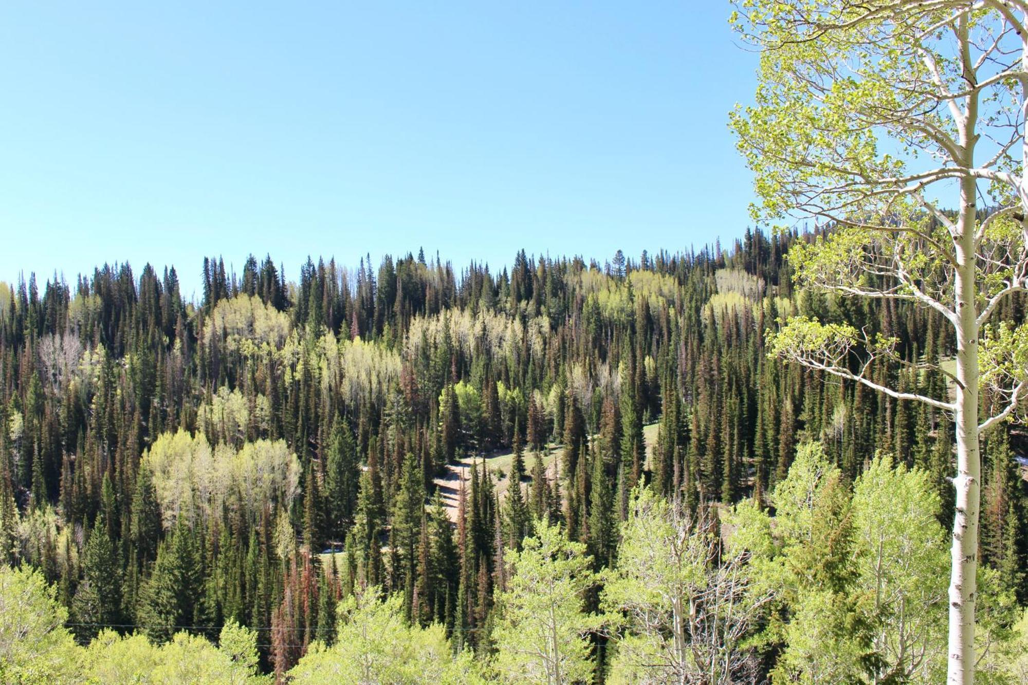 909 Park Ave Home Park City Kültér fotó